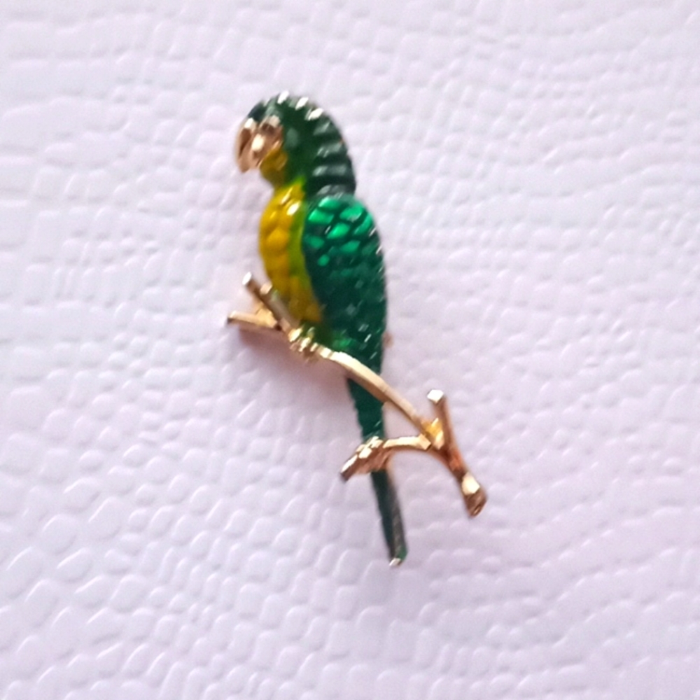 Colorful 🦜 Parrot painted Brooch/Pin